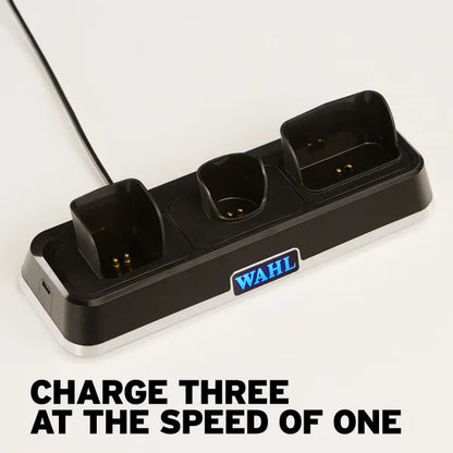 Wahl Power Station - docking station