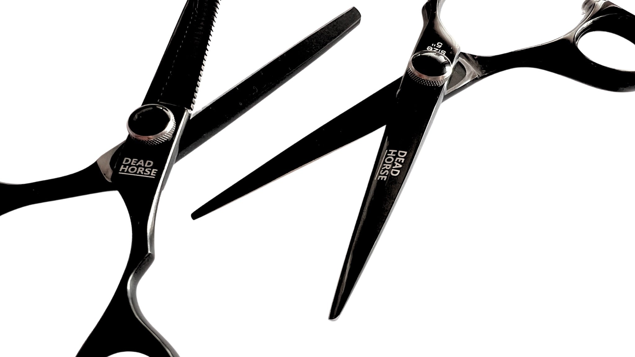 Dead Horse student scissors set 5.0