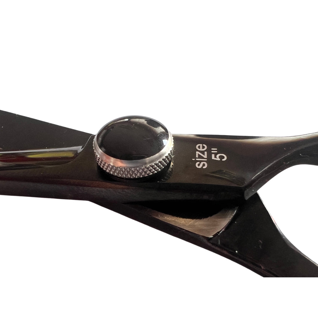 Dead Horse student scissors set 5.0